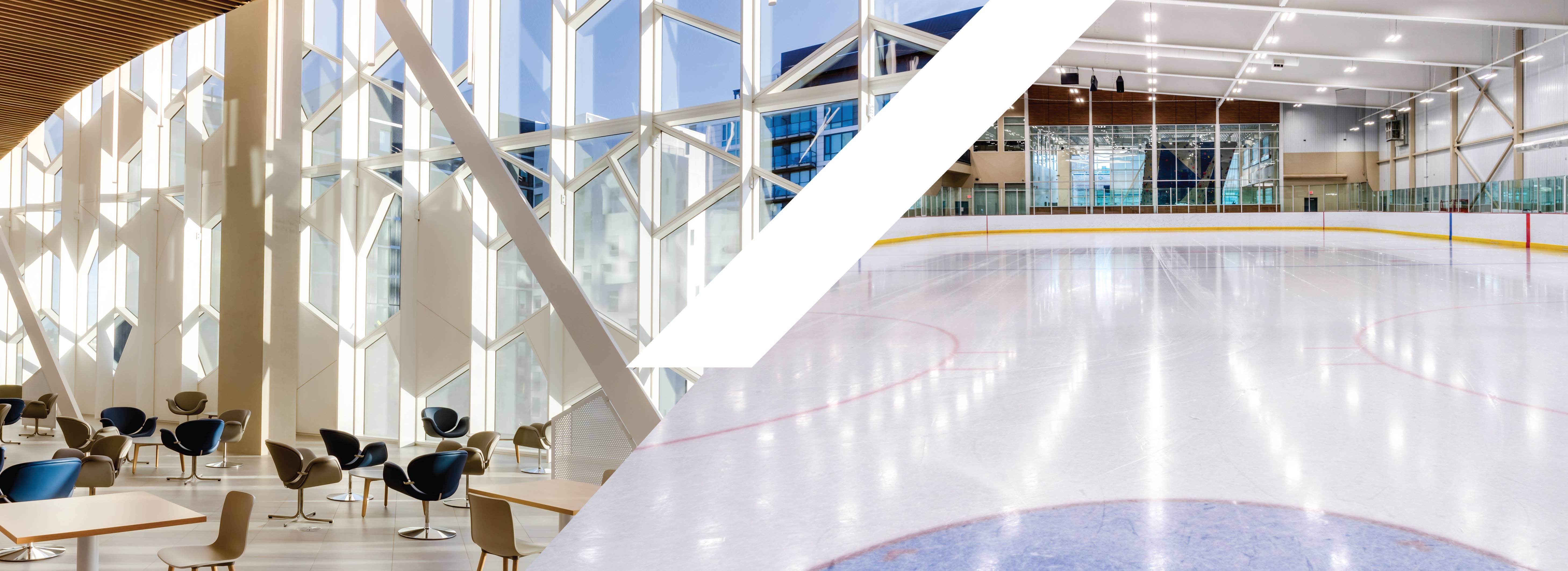 Modern library sitting area and arena rink