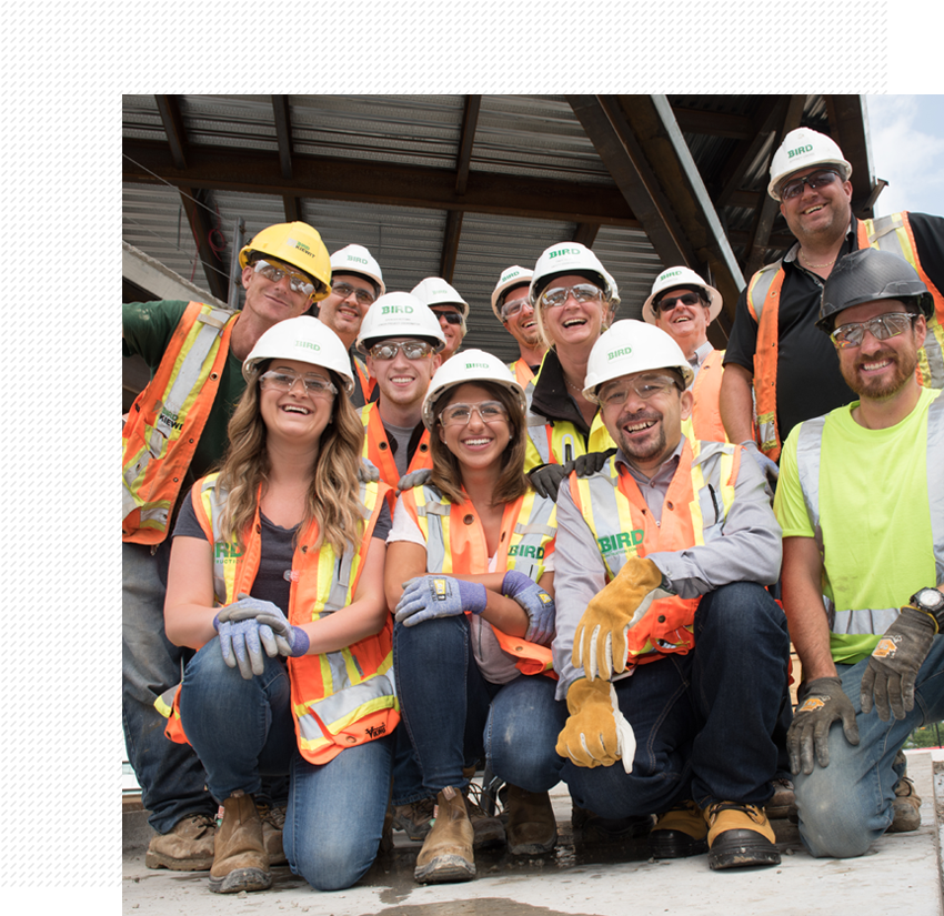 Bird employees group picture on constructions site