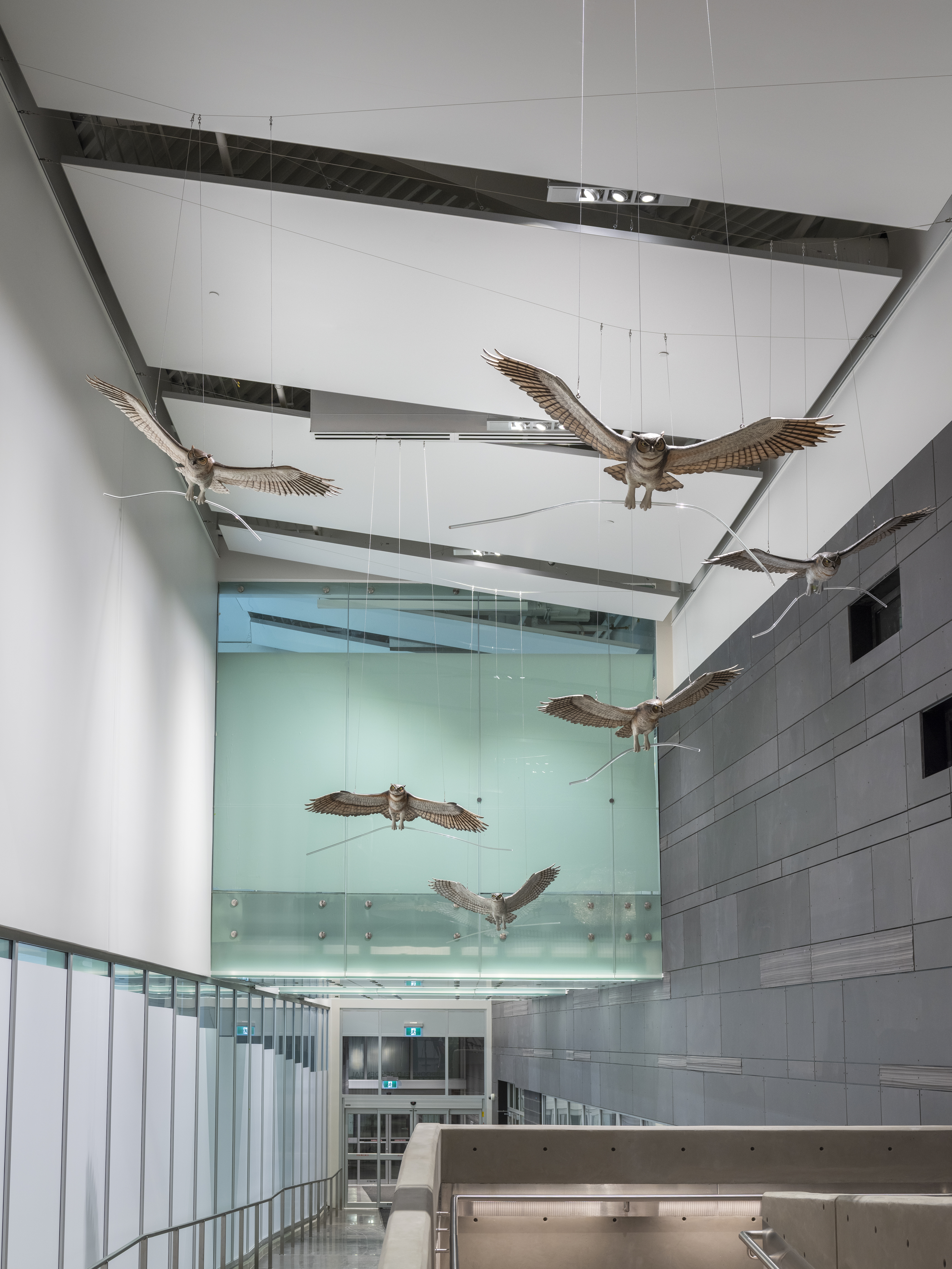 Interior hallway of the YMCA showing Bird decor
