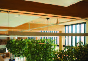 Interior details of a mass timber building