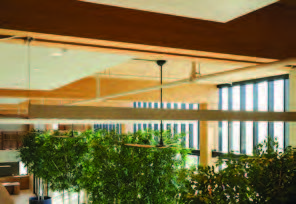 Interior details of a mass timber building