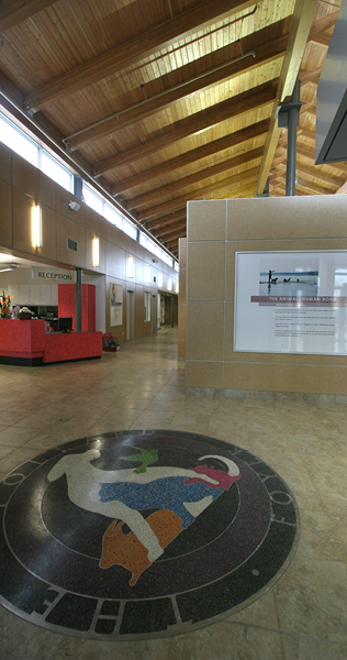 Interior of Winnipeg Humane Society showing inset floor design with animals and wooden roof