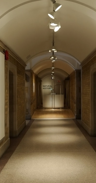 Interior corridor in the Justina M. Barnicke Gallery showing vaulted ceiling and dramatic lighting