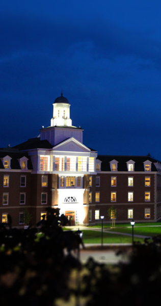 Illuminated Building Featuring the Domed Roof Against a Night Sky