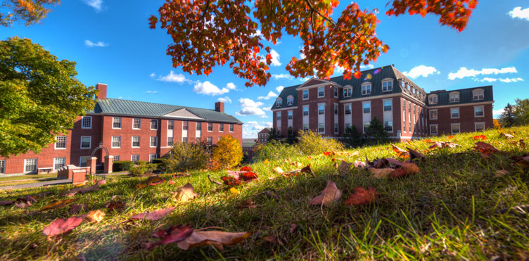 UNB campus in the fall