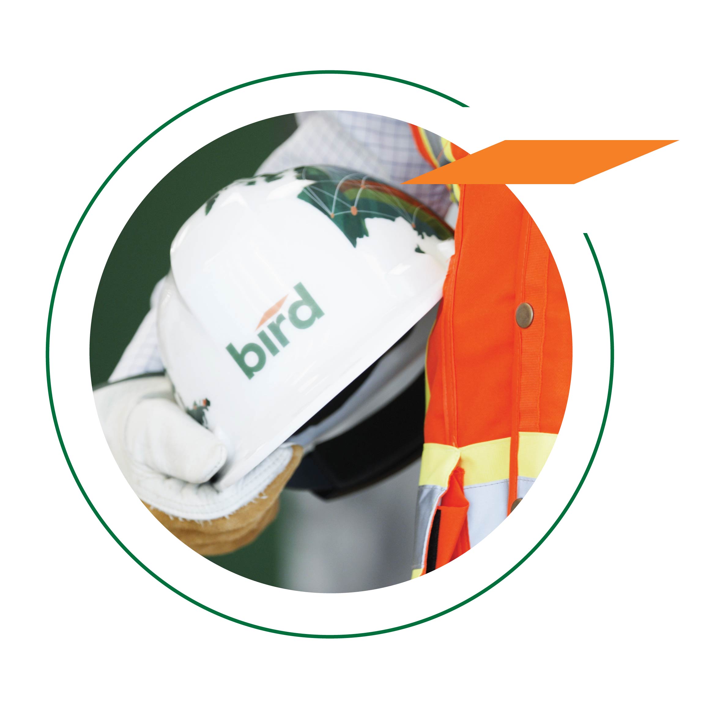 casque de construction blanc avec Bird dessus