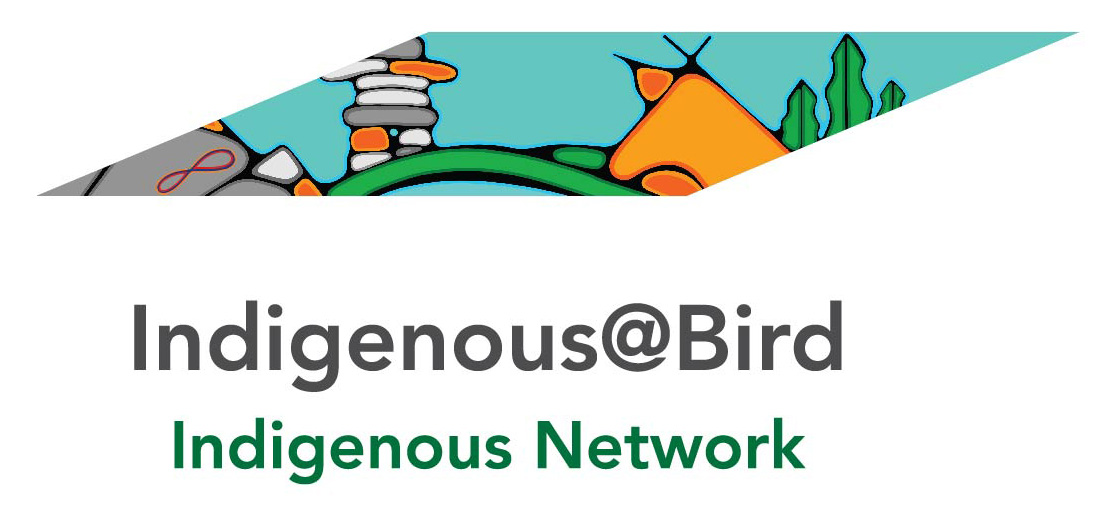 Indigenous@Bird logo