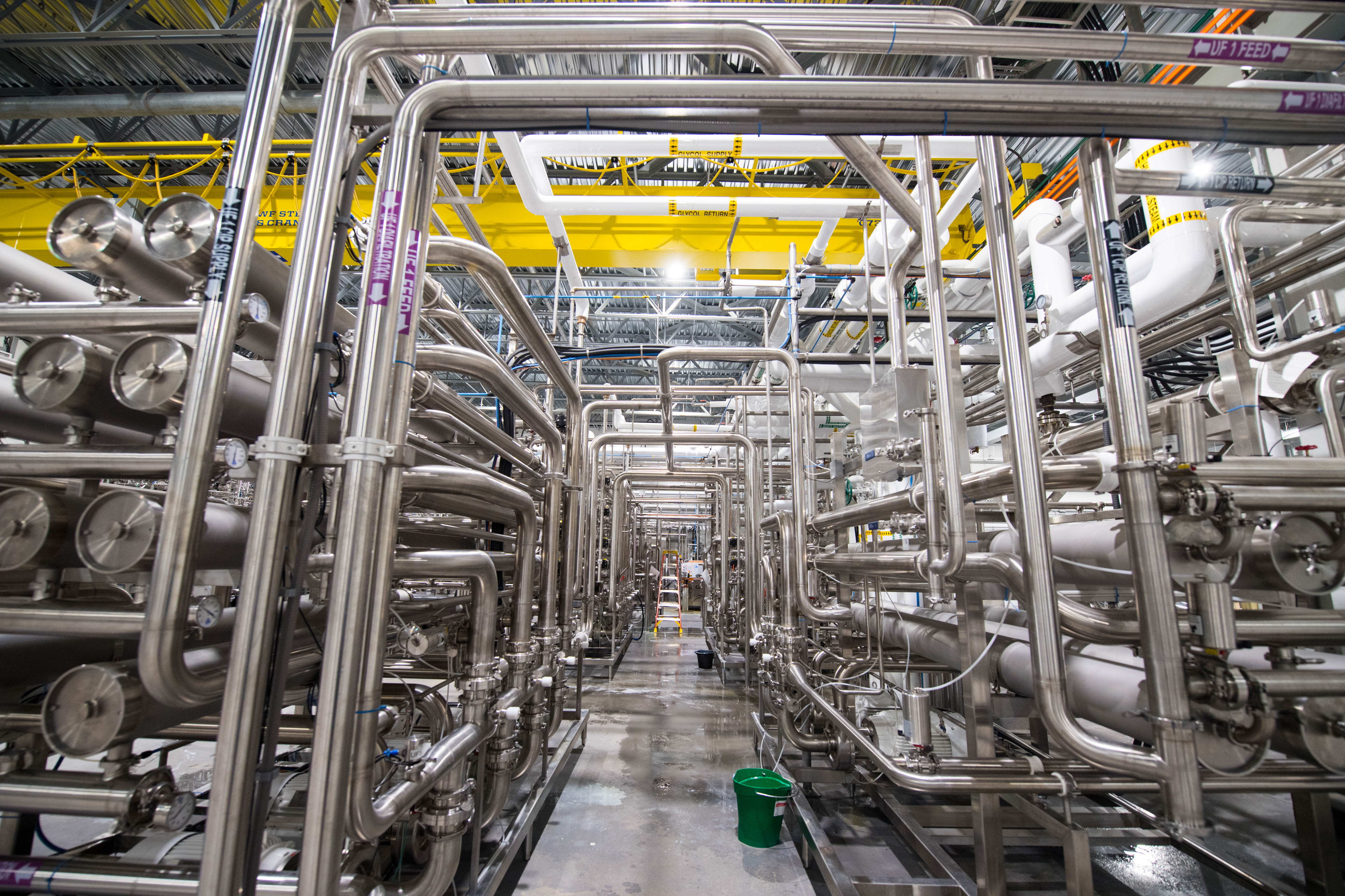 Pea protein processing