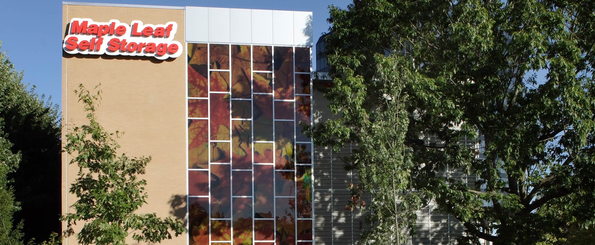 Maple Leaf Self Storage Facility exterior showing building signage with tree in foreground 