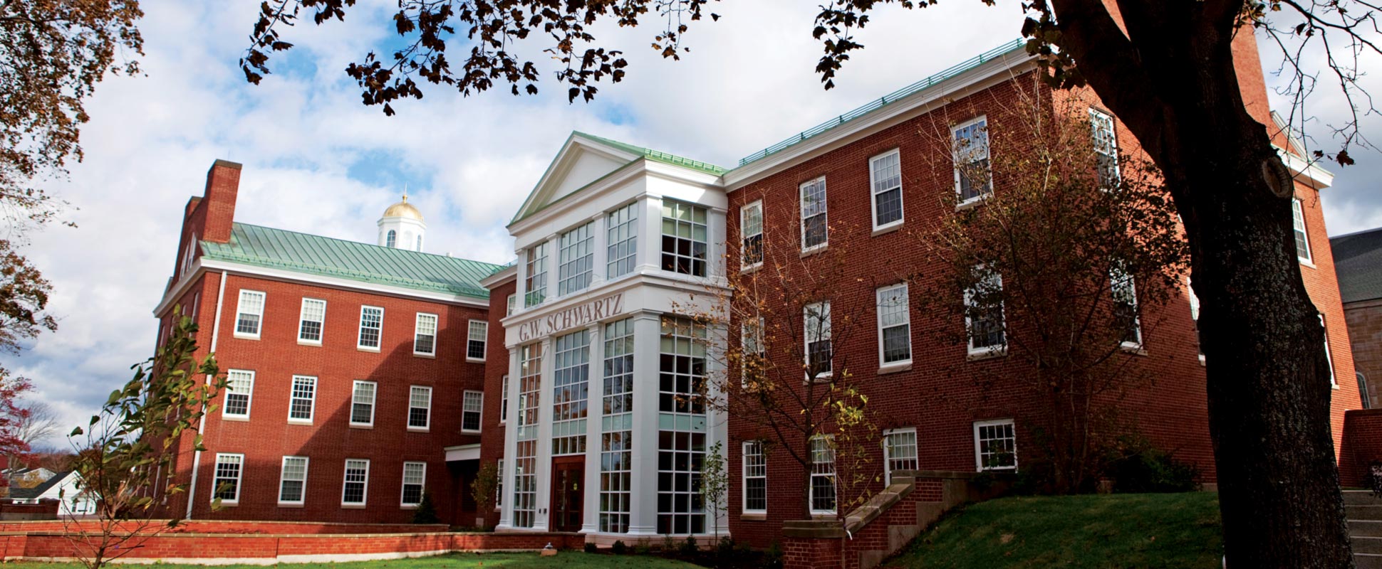 St. Francis Xavier Gerald Schwartz School of Business exterior with tree in foreground